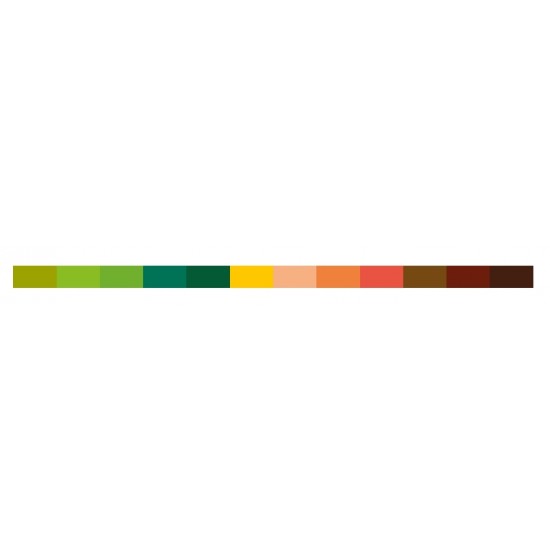 Karin Nature Colors Collection 12 colors Pigment Decobrush